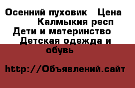 Осенний пуховик › Цена ­ 500 - Калмыкия респ. Дети и материнство » Детская одежда и обувь   